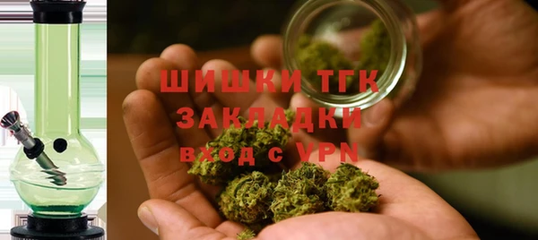 соль ск Ладушкин
