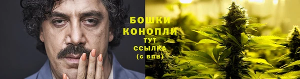 соль ск Ладушкин