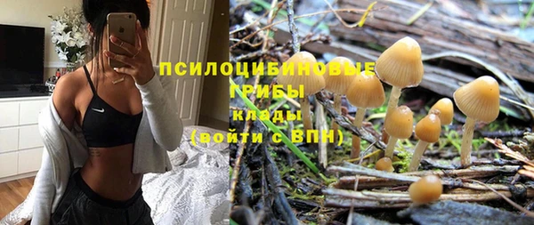соль ск Ладушкин