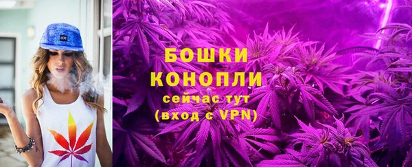 соль ск Ладушкин