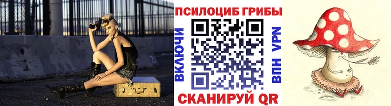 MEGA ссылки  где можно купить   Абакан  Псилоцибиновые грибы Cubensis 