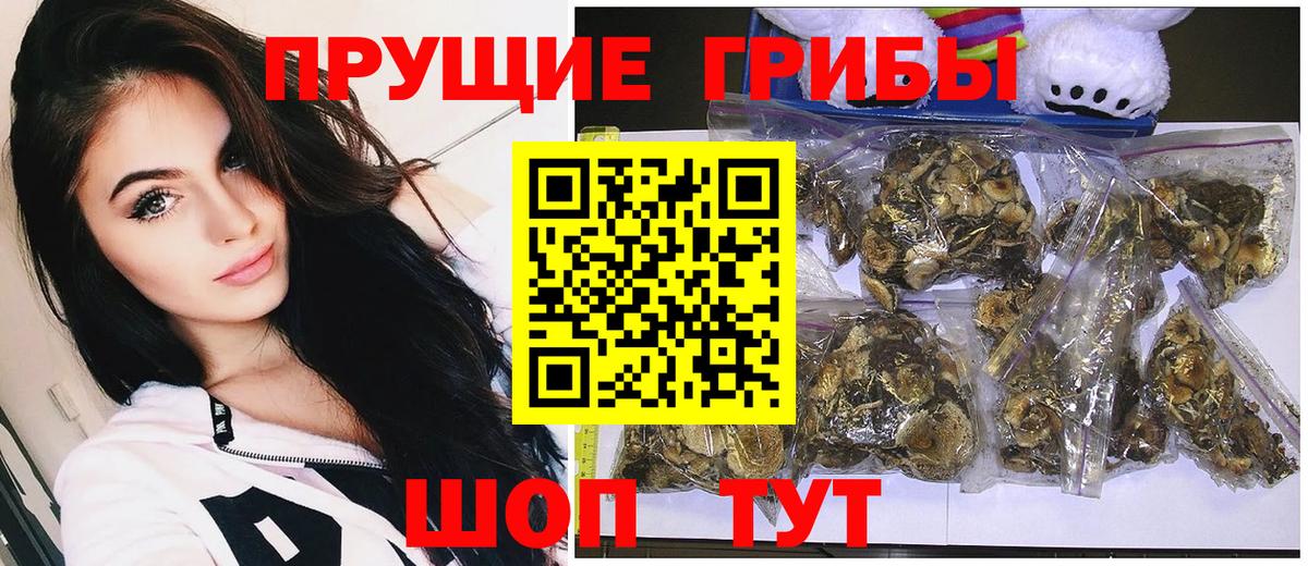 Абакан  Псилоцибиновые грибы мицелий  Вход с VPN 