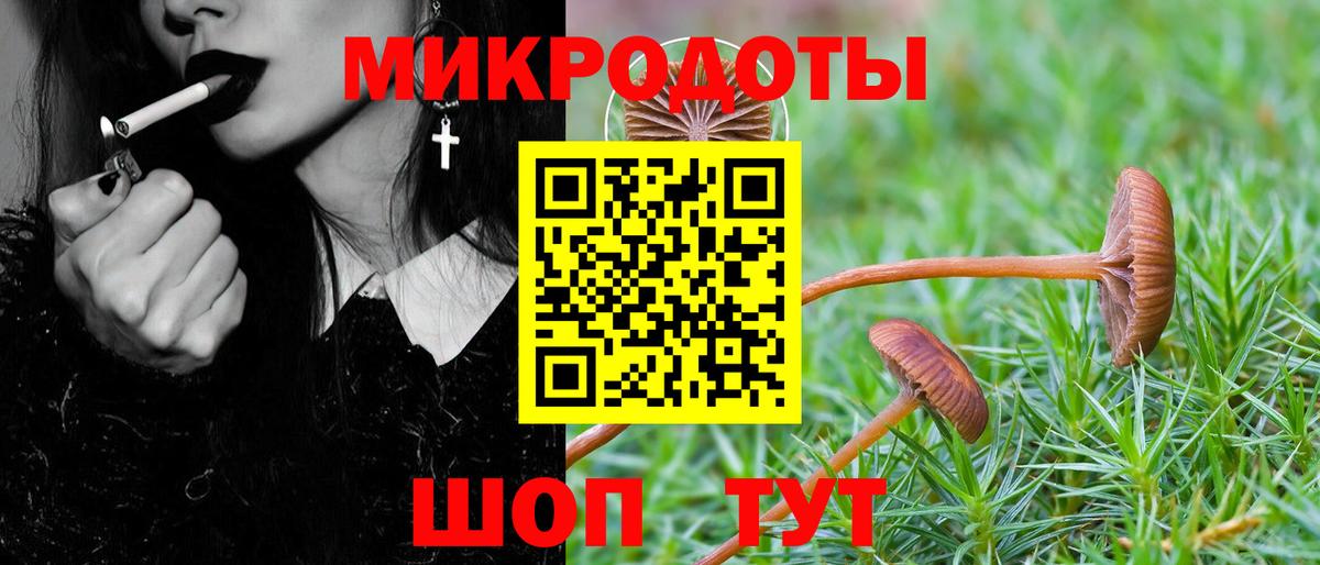 Галлюциногенные грибы Magic Shrooms Абакан