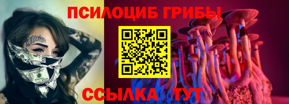 где продают наркотики  Абакан  Галлюциногенные грибы мухоморы 